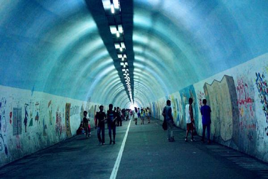 行業(yè)動(dòng)態(tài)