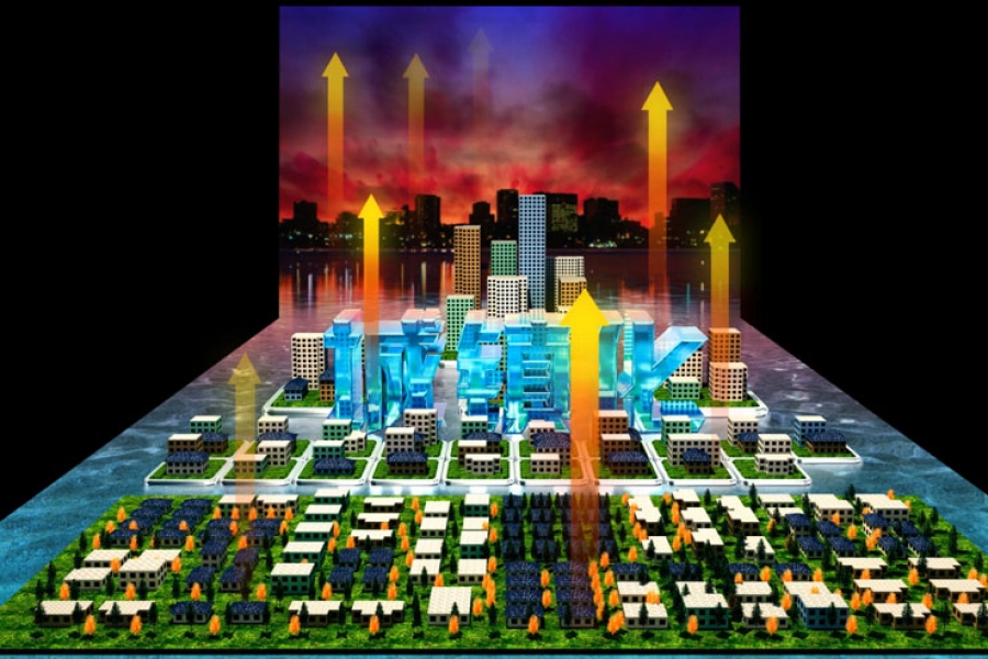 行業(yè)動態(tài)