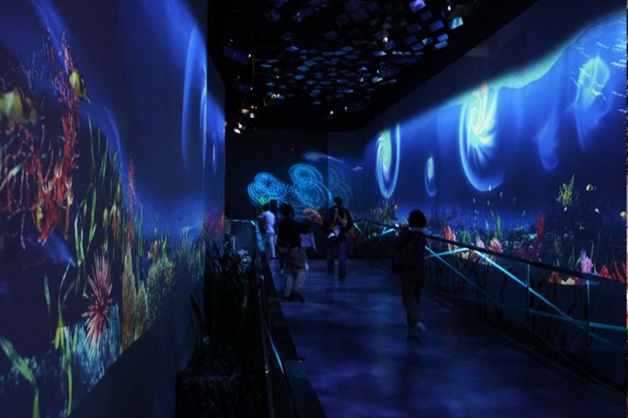 行業(yè)動(dòng)態(tài)