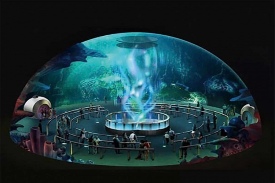 行業(yè)動態(tài)