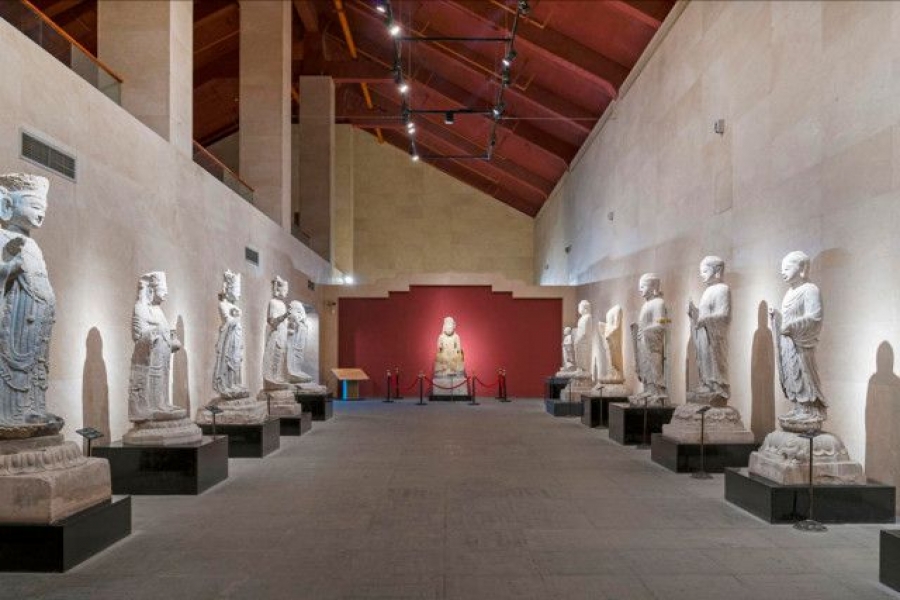 行業(yè)動態(tài)