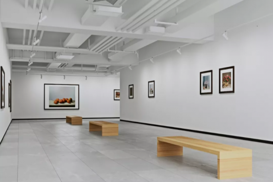 行業(yè)動態(tài)